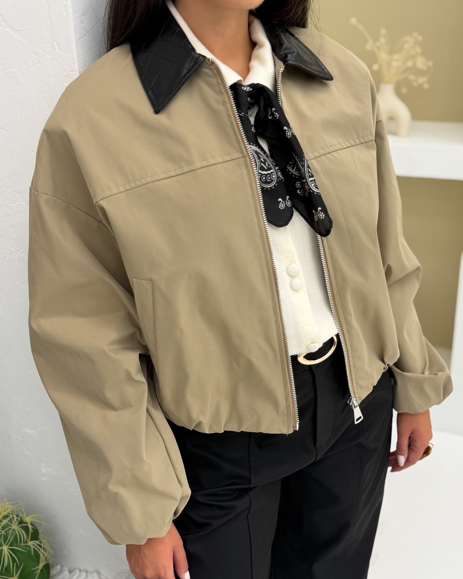 6a985867d1f7a.jpg